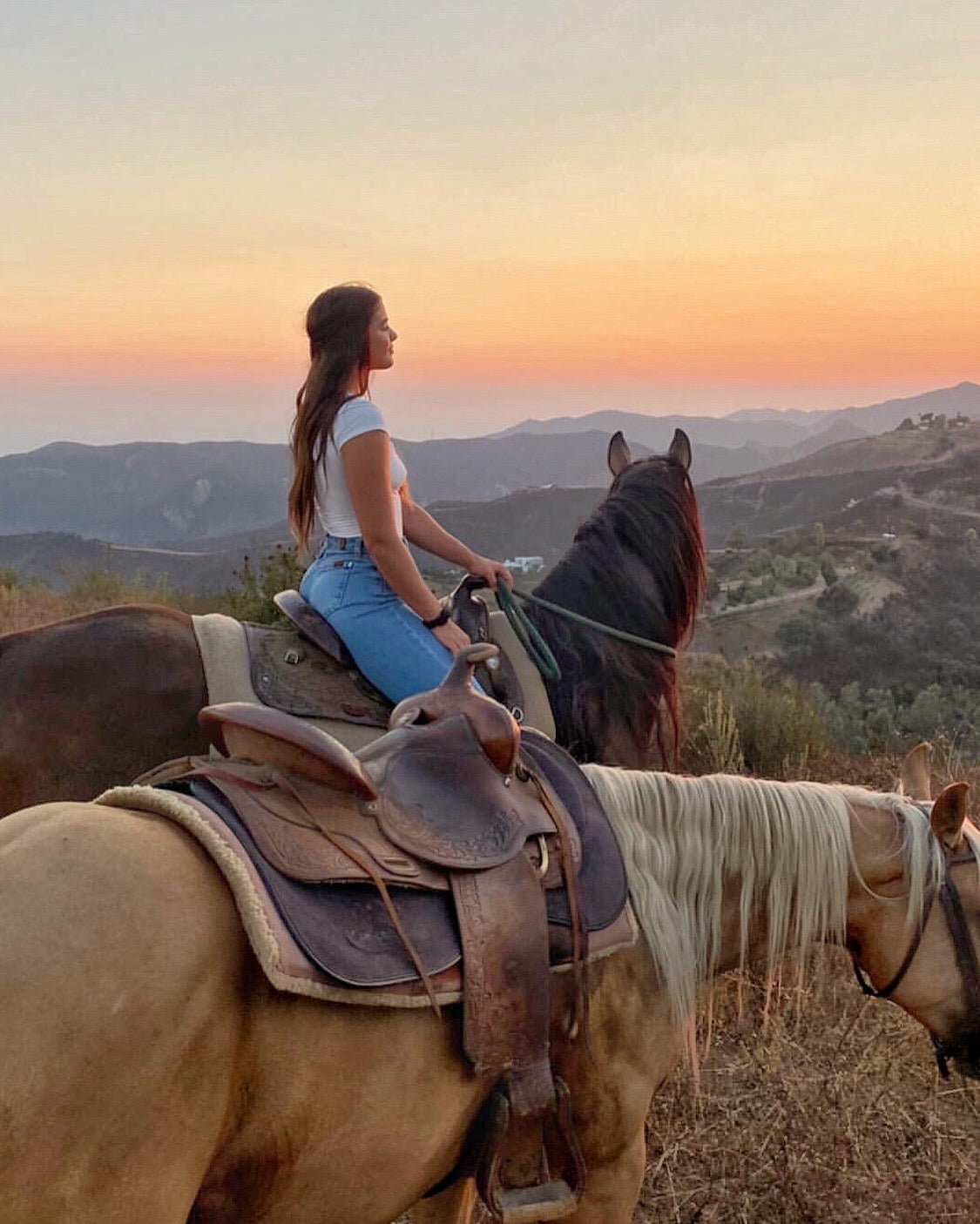 equine therapy, equine therapist, horse workshop