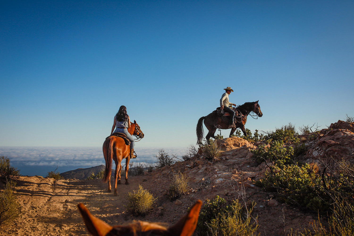 things to do in malibu, horseback riding malibu, trail ride malibu