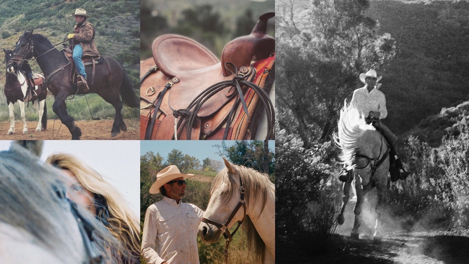 horseback riding lessons, riding lessons, western riding lessons, horsemanship lessons