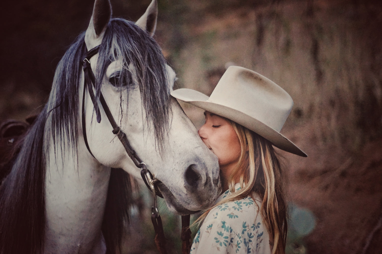 equine therapy, equine therapist, equine wellness workshop, womens workshop with horses