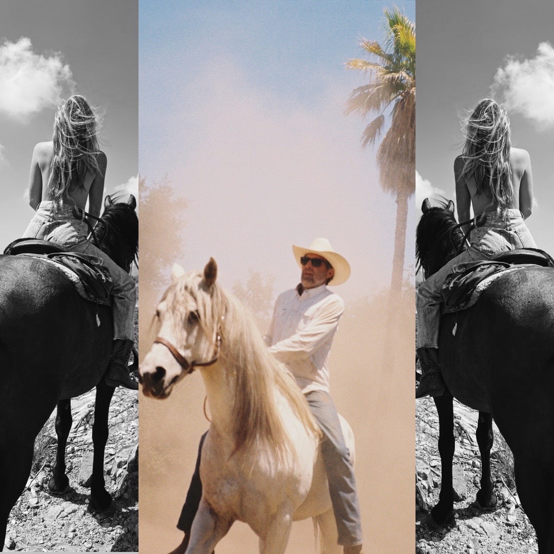 horses for photoshoots, horses for productions, photoshoot location, horse photoshoot location