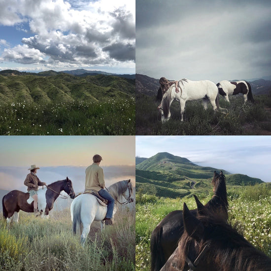 horseback riding in malibu, things to do in malibu, trail ride malibu, private horseback ride