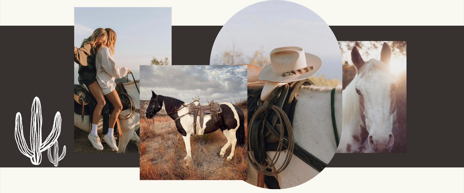 Horseback riding, trail ride, western riding, horse photoshoot 