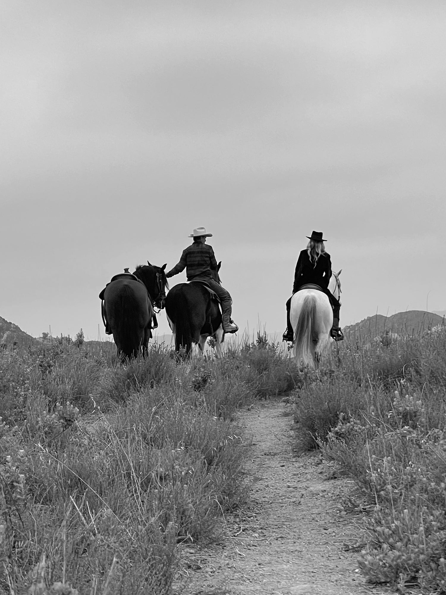 horsemanship lessons, riding lessons, horseback riding lessons, western riding lessons