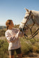 equine therapy, equine therapist, equine self-development, womens workshop